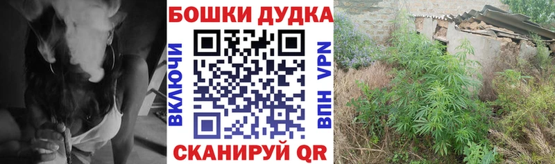 Где можно купить наркотики Козельск Амфетамин  СОЛЬ  Меф мяу мяу  Галлюциногенные грибы  Канабис  Cocaine 